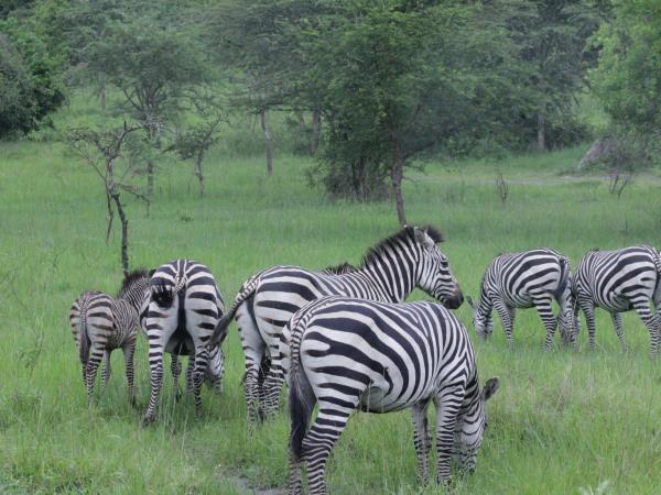 Uganda wildlife and activity holiday 