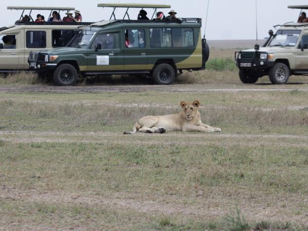 Gorillas and Masai Mara wildlife vacation
