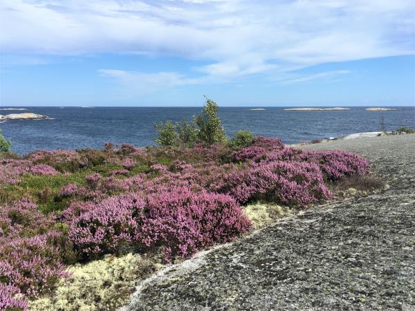 Southern archipelago self-guided walking tour, Sweden