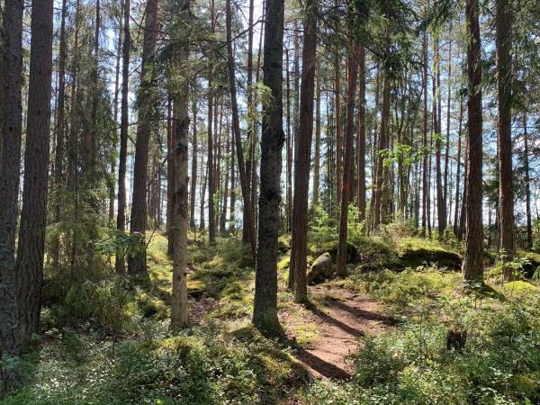 Southern archipelago self-guided walking tour, Sweden
