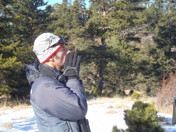 Alpine Wolf tracking vacation, France