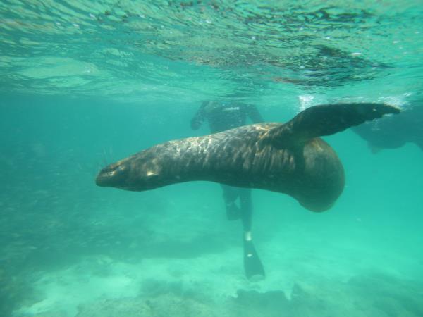 Galapagos tailor made adventure vacation