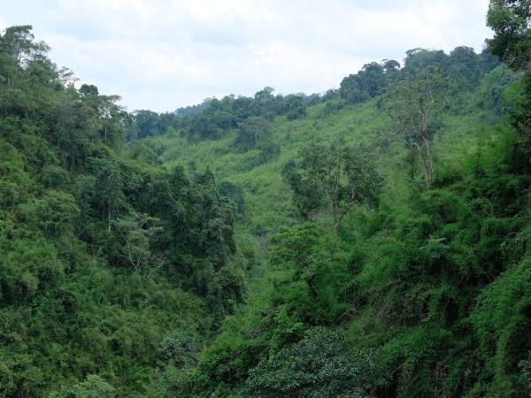 Cambodia guided tour