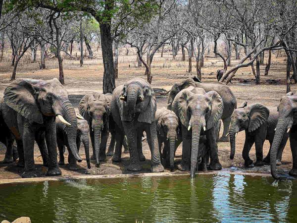 Malawi small group safari