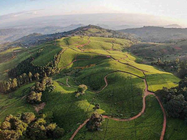 Malawi small group safari