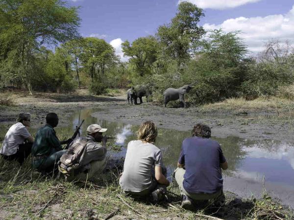 Malawi small group safari