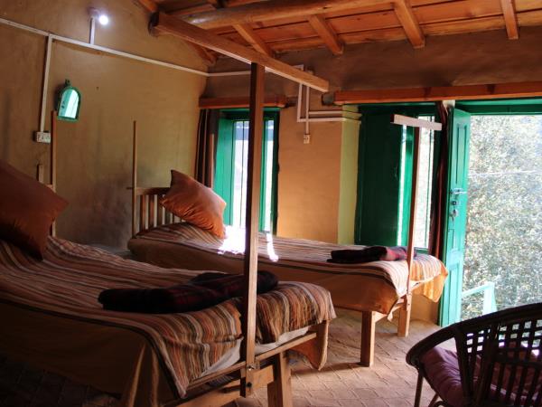 Binsar birding festival tour in India
