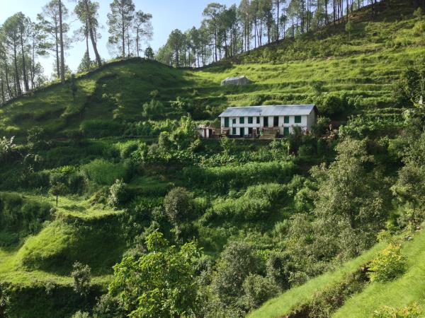 Binsar birding festival tour in India