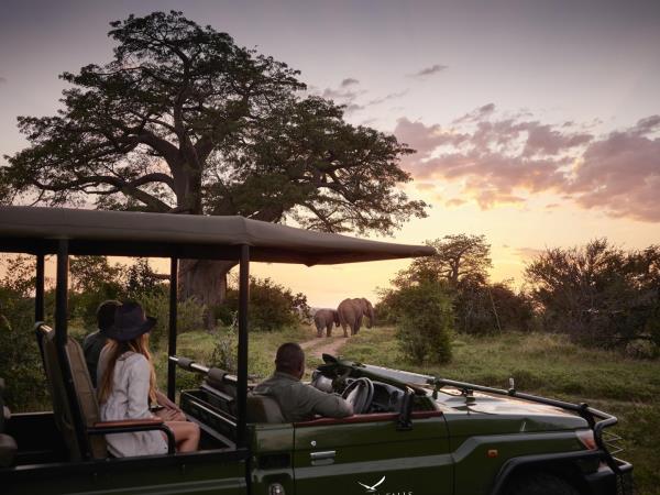 Zimbabwe canoe safari 