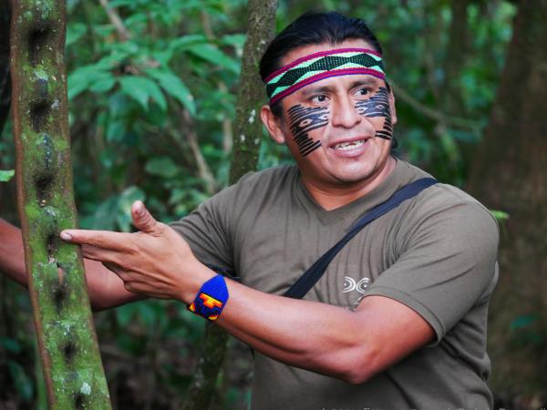 Amazon and Andes wildlife expedition in Ecuador