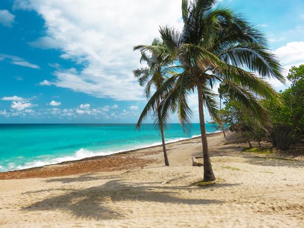 Western Cuba tailor made vacation, 12 days