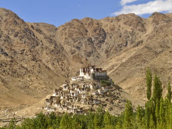 Markha Valley trek, Ladakh, India  