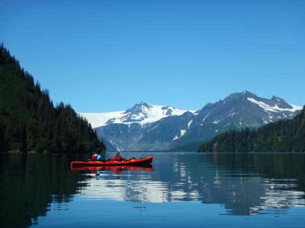Alaska tour, glaciers and grizzly bears