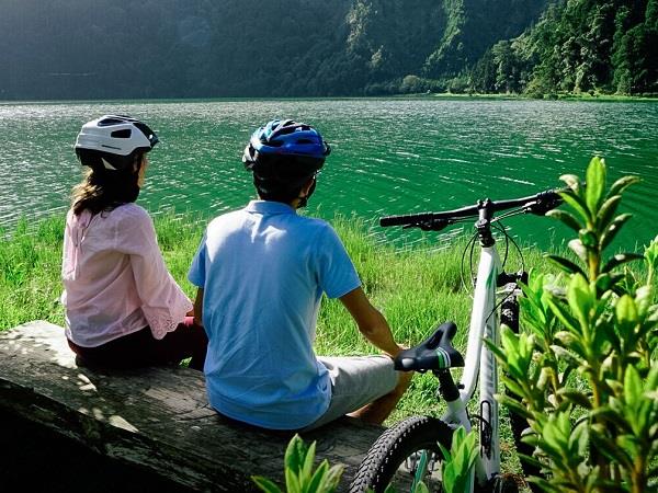 Azores family adventure vacation, whales and dolphins