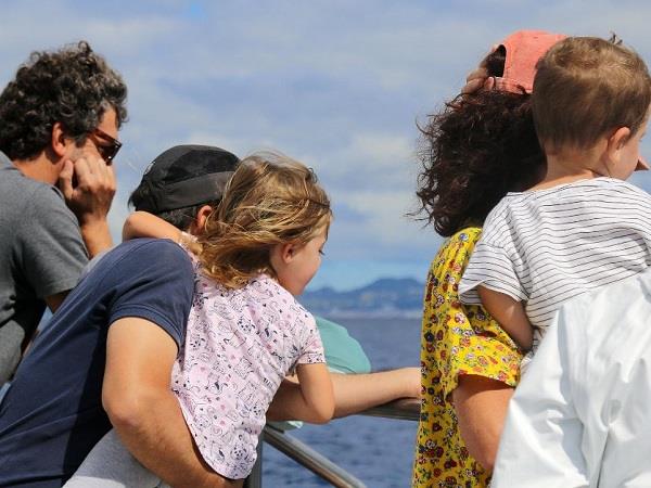 Family whale & dolphin watching vacation, Azores
