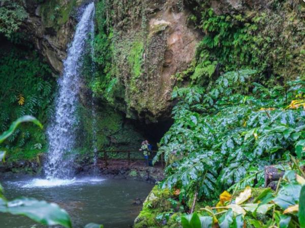 Azores whale watching and walking vacation