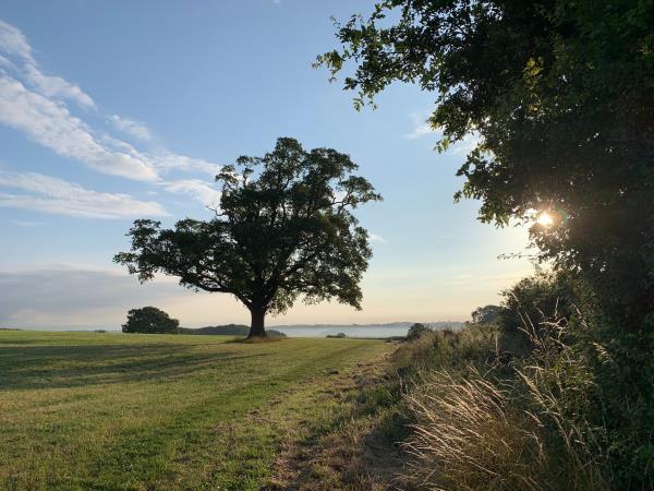 Offa's Dyke Path North walking vacation, Wales