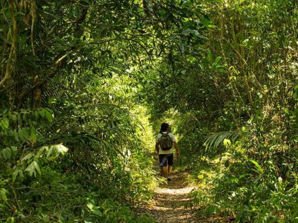 Amazon river expedition
