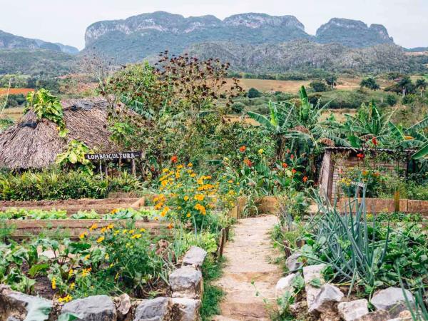 Cuba art & culture tour