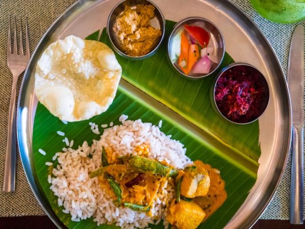 Golden Triangle & Kerala vacation, India