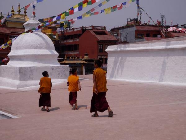 Nepal tailor made 8 day tour