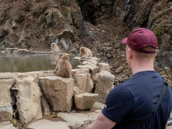Japan small group tours
