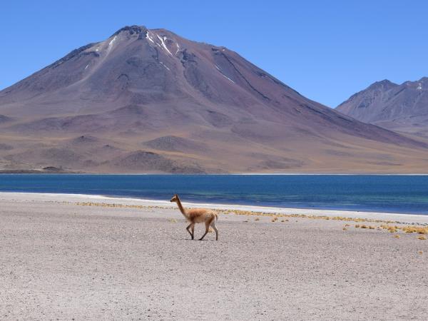 Chile to Bolivia adventure