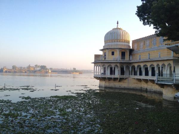 Vegan vacation in India