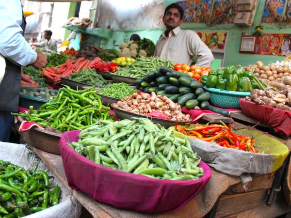 Vegan vacation in India
