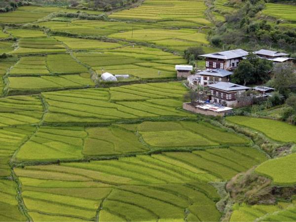 Essential Bhutan 14 day tour