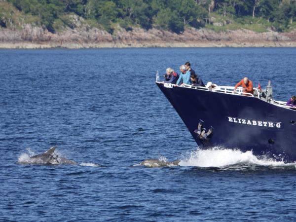Luxury autumn wildlife Hebrides cruise