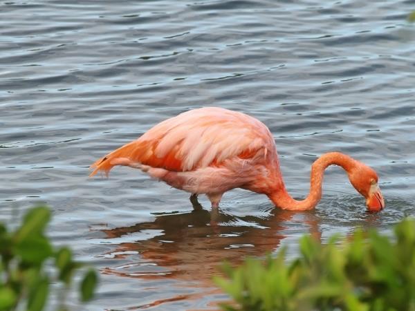 Galapagos Islands multi activity vacation