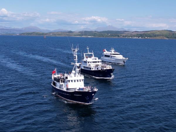 Mull, Iona, Staffa Scotland wildlife cruise
