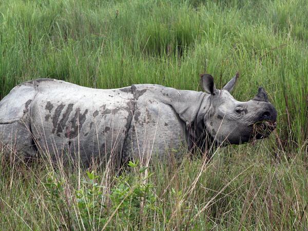 North East India 10 day tour