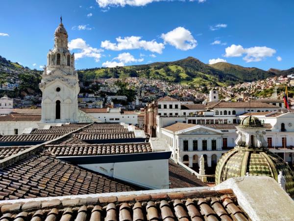 The best of Ecuador wildlife vacation