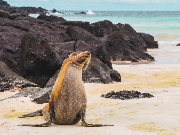 Ecuador and Galapagos family vacation