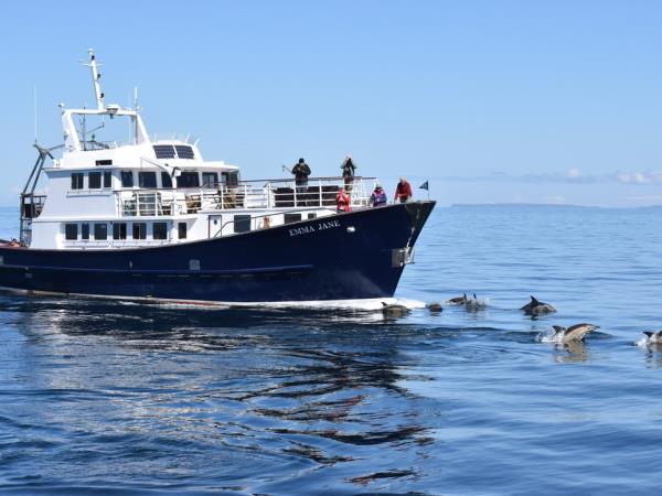 Luxury cruise of Southern Hebrides, Scotland 