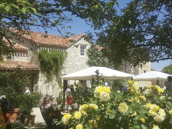 Painting holiday in France