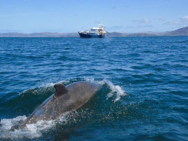 Autumn Inner Hebrides cruise, Scotland