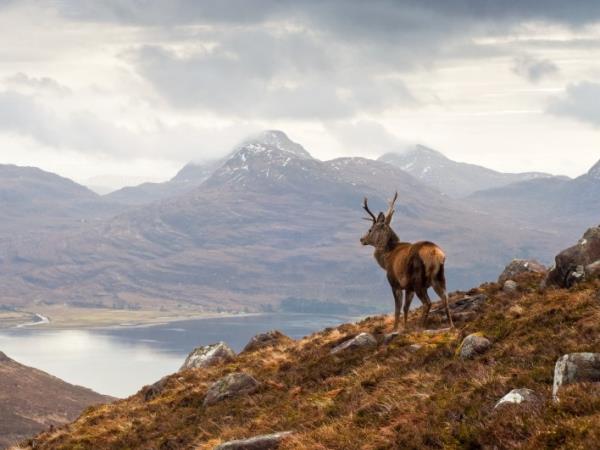 Autumn Inner Hebrides cruise, Scotland