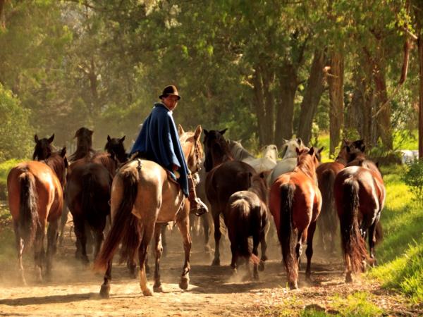 Ecuador horse riding vacation