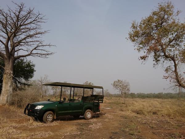 Cultural vacation in Ghana, Togo and Benin