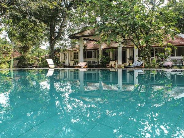 5 day meditation & yoga retreat in Sri Lanka