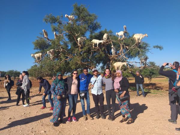 Private Morocco cultural tour, tailor made