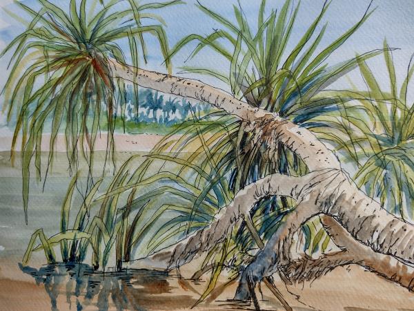 Sri Lanka sketching and painting vacation