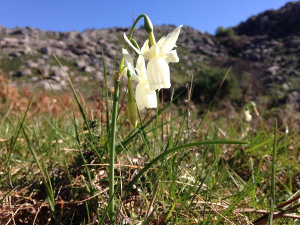 Peneda Geres National Park self guided hiking vacation