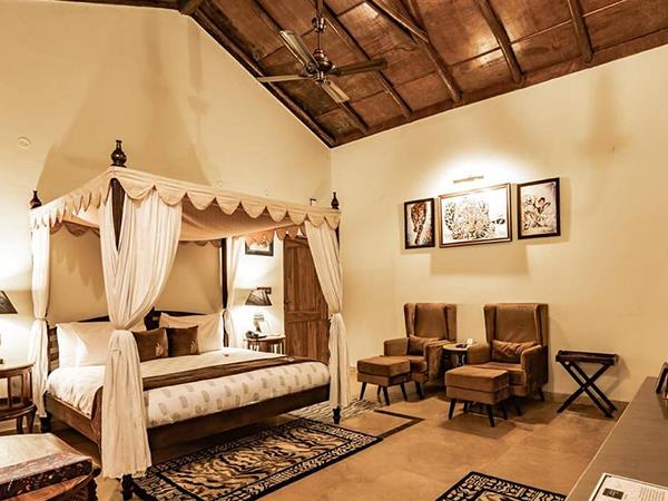 India safari vacation, lions tigers & bears