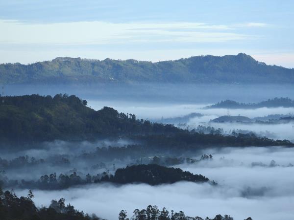 Sri Lanka tailor made vacation, 2 weeks