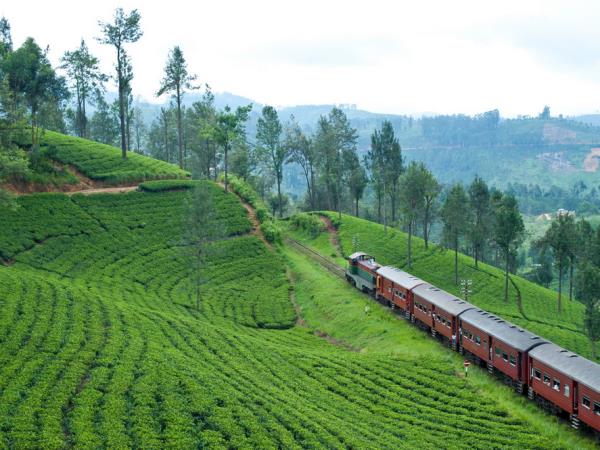 Sri Lanka family vacation, 14 days