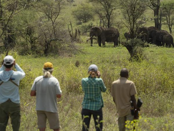 Tanzania vacation with Serengeti walking safari 